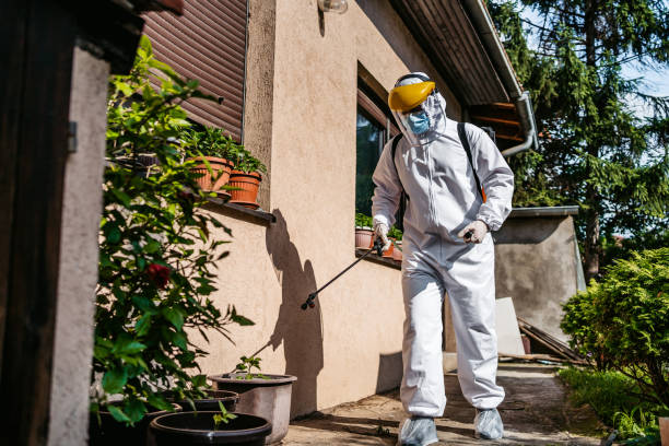 Best Affordable Pest Control Services  in Pennington Gap, VA