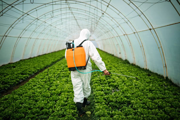 Pest Control for Restaurants in Pennington Gap, VA
